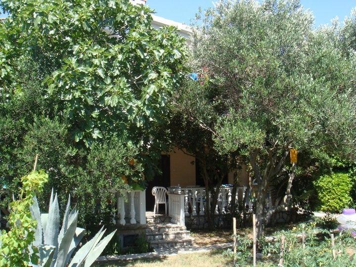 Pag Vlašići חדר תמונה